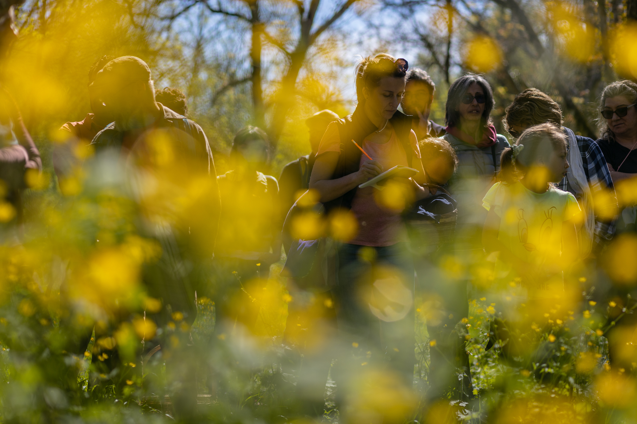 Matilde Coltiva - Seminario erbe spontanee